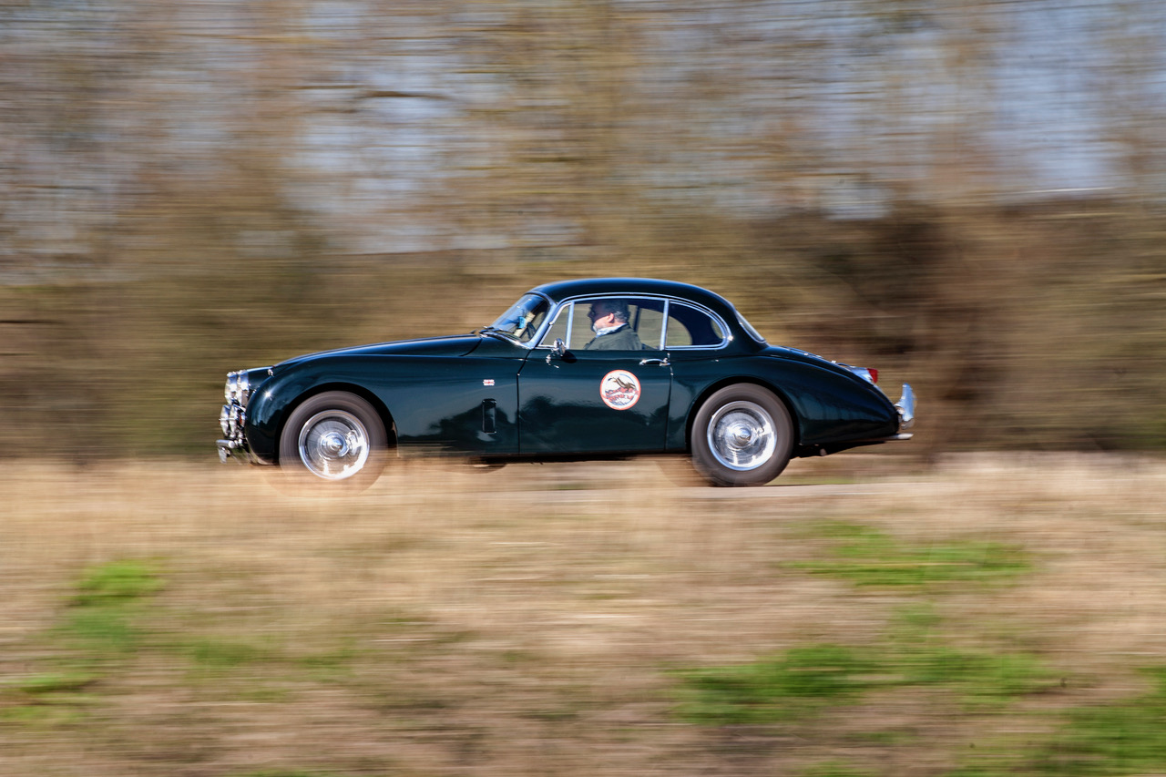 Kraantje-Lek-2025-51