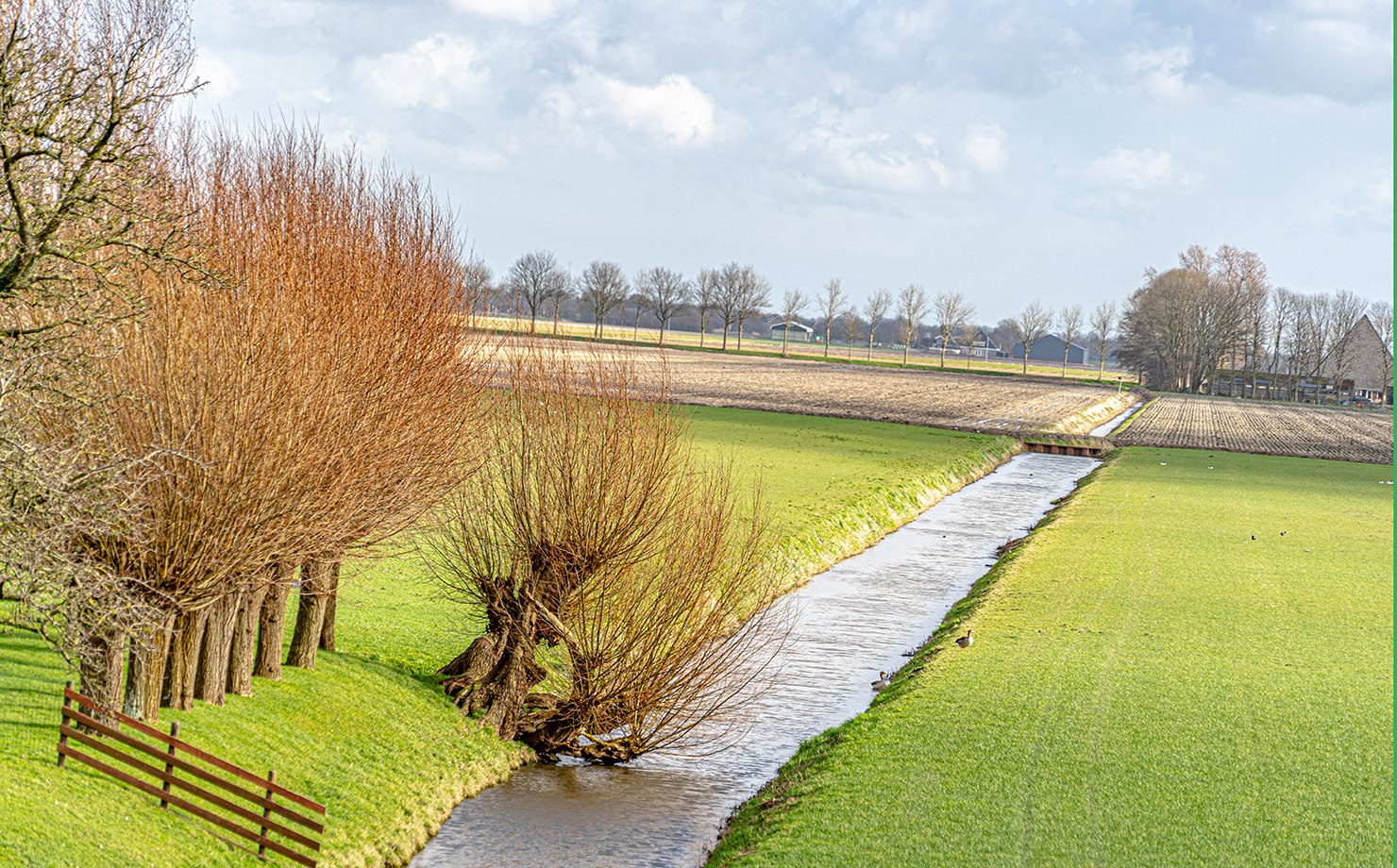 Kraantje-lek-2020-RM-00995